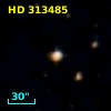 HD 313485