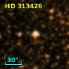 HD 313426