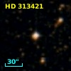 HD 313421