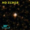 HD 313418