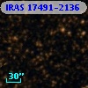 IRAS 17491-2136