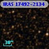 IRAS 17492-2134