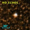 HD 313401