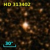 HD 313402