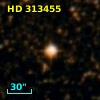 HD 313455