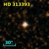 HD 313393