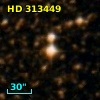 HD 313449