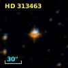 HD 313463