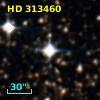 HD 313460