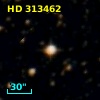 HD 313462