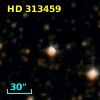 HD 313459