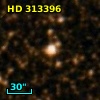 HD 313396