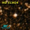 HD 313424