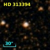 HD 313394