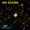 HD 313395