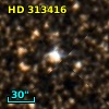 HD 313416