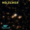 HD 313419