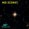 HD 313447