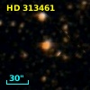 HD 313461