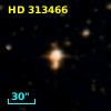 HD 313466