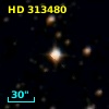 HD 313480