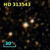 HD 313543