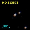 HD 313573