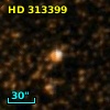 HD 313399