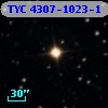 TYC 4307-1023-1