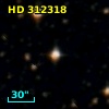 HD 312318