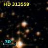 HD 313559