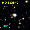 HD 313540