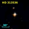 HD 313536