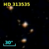 HD 313535
