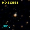 HD 313531