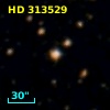HD 313529