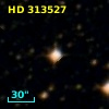 HD 313527