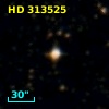 HD 313525