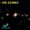 HD 313663