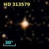 HD 313579