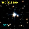 HD 313590