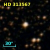 HD 313567