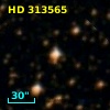 HD 313565