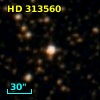 HD 313560