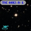 TYC 4492-9-1