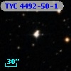 TYC 4492-50-1