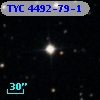 TYC 4492-79-1