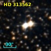 HD 313562