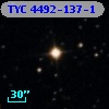 TYC 4492-137-1