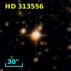 HD 313556